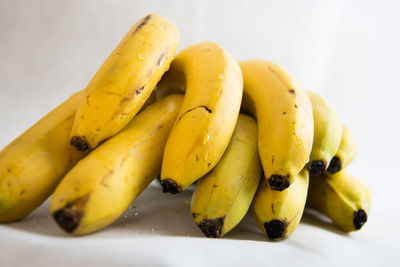 Close-up of fruits in plate