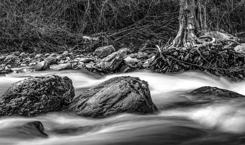 River flowing through rocks in forest