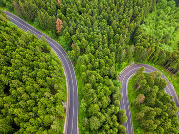 Winding road through the forest, from high mountain pass, in summer time. aerial view by drone