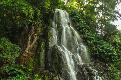 View of waterfall in forest
