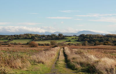 Scenic view of field against cloudy sky
