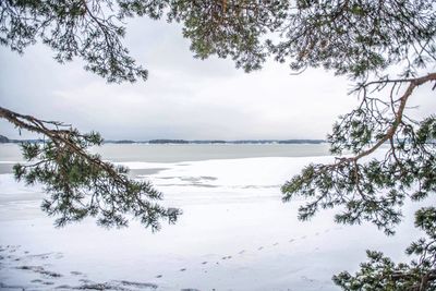 Scenic view of lake against sky during winter