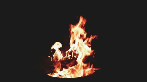 Close-up of bonfire at night