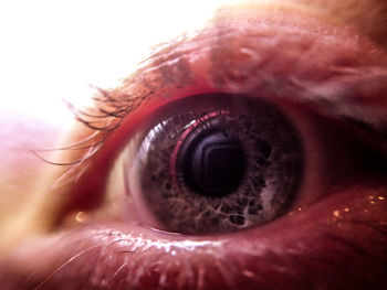 Extreme close up of human eye