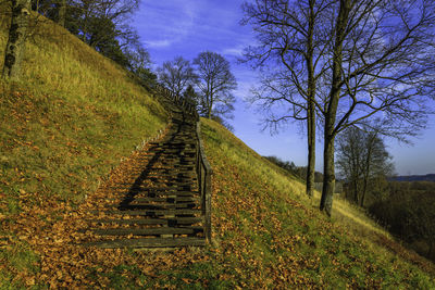Staircase amidst bare trees on field against sky