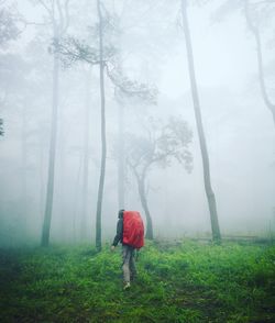 Full length of woman walking in forest during rainy season