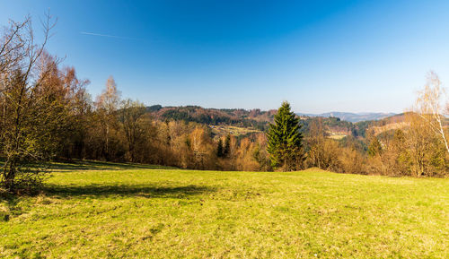 Trees on field against sky