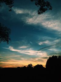 Silhouette trees against sky during sunset