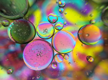 Colorful bubbles abstract background, oil bubbles in transparent liquid backdrop