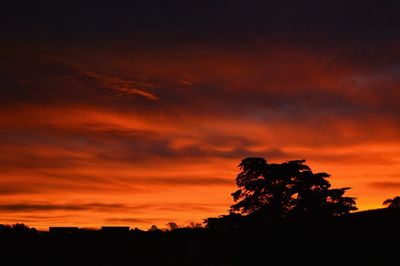 Low angle view of silhouette trees against dramatic sky