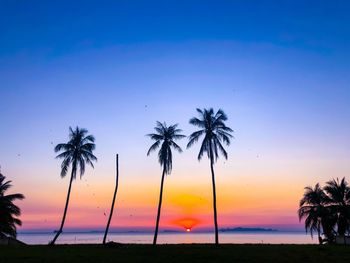 Silhouette palm trees on beach against sky at sunset