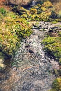 Water flowing through rocks in forest