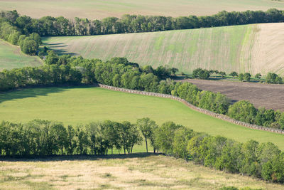 Scenic view of agricultural field