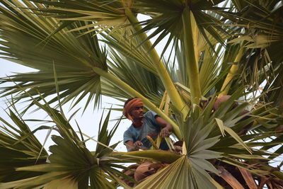 Low angle view of woman on palm tree