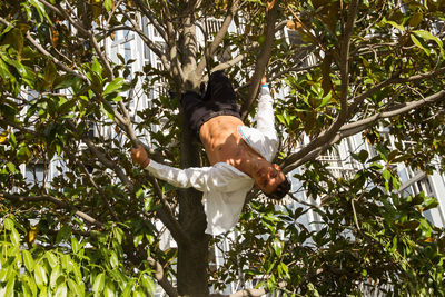 Low angle view of businessman hanging on tree