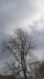 Low angle view of bare trees against cloudy sky