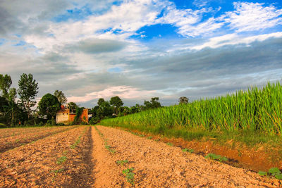 Dirt road amidst field against sky