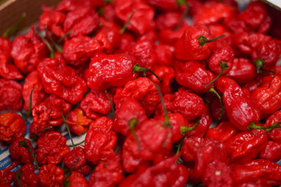 Full frame shot of red chili pepper