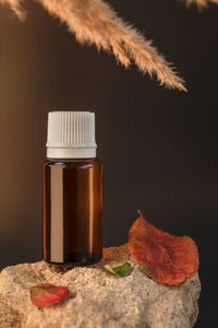 Amber glass bottle standing on a stone with apple leaves and pampas grass. autumn cosmetic concept 