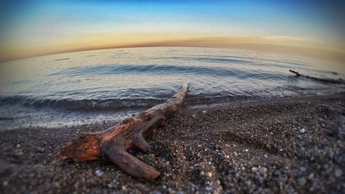 Scenic view of sea at sunset