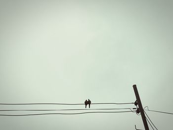 Low angle view of bird perching on cable against clear sky