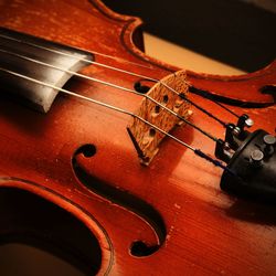 Cropped image of violin