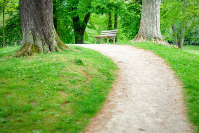 Dirt road amidst trees in park