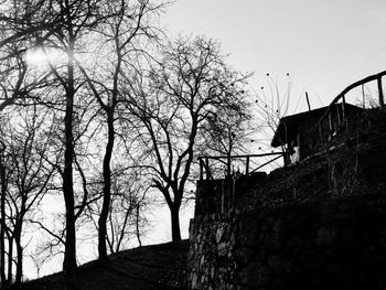 Low angle view of bare trees and building against sky