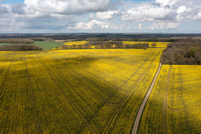 Scenic view of agricultural field against sky