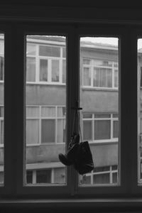 Boxing gloves hanging on window