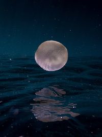 Scenic view of moon against sky at night