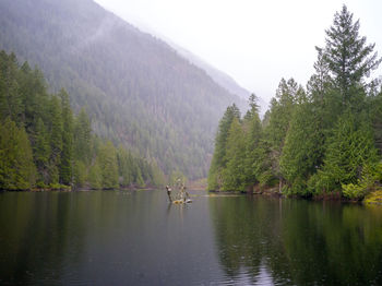 Scenic view of lake in forest against sky
