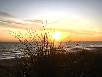 Scenic view of sea against sky during sunset