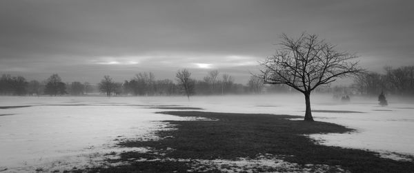 Bare trees on snow covered landscape against sky