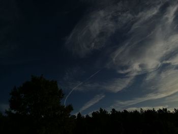 Low angle view of silhouette trees against sky at night