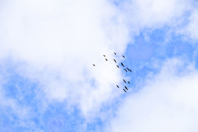 Low angle view of birds flying against cloudy sky