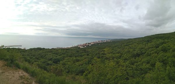 Scenic view of grassy field by sea against sky