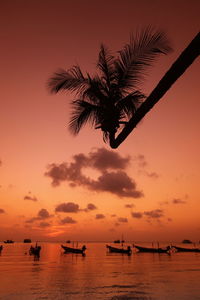 Silhouette coconut palm tree against cloudy sky