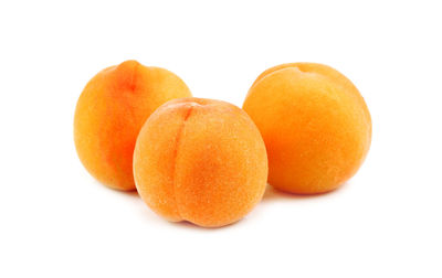 Close-up of orange fruit against white background