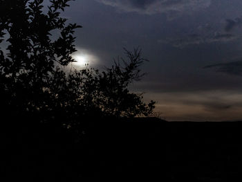 Low angle view of silhouette tree against sky at sunset