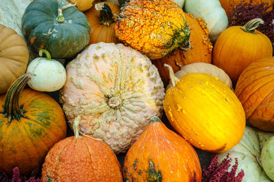 Full frame shot of pumpkins in market