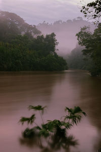 Scenic view of lake by trees against sky