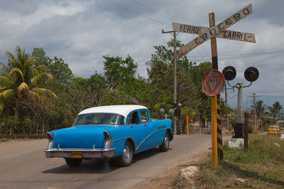 View of road sign against trees