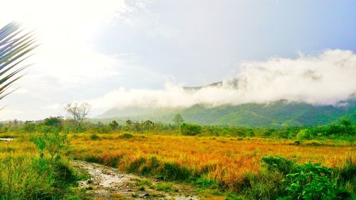 Scenic view of land against sky