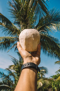 Cropped hand of man having coconut water against palm trees