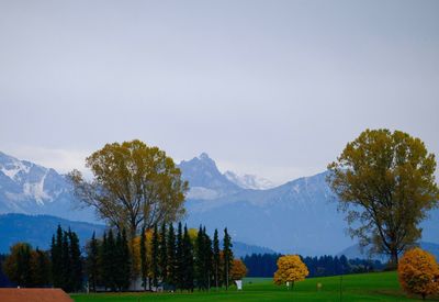 Trees on landscape against mountain range