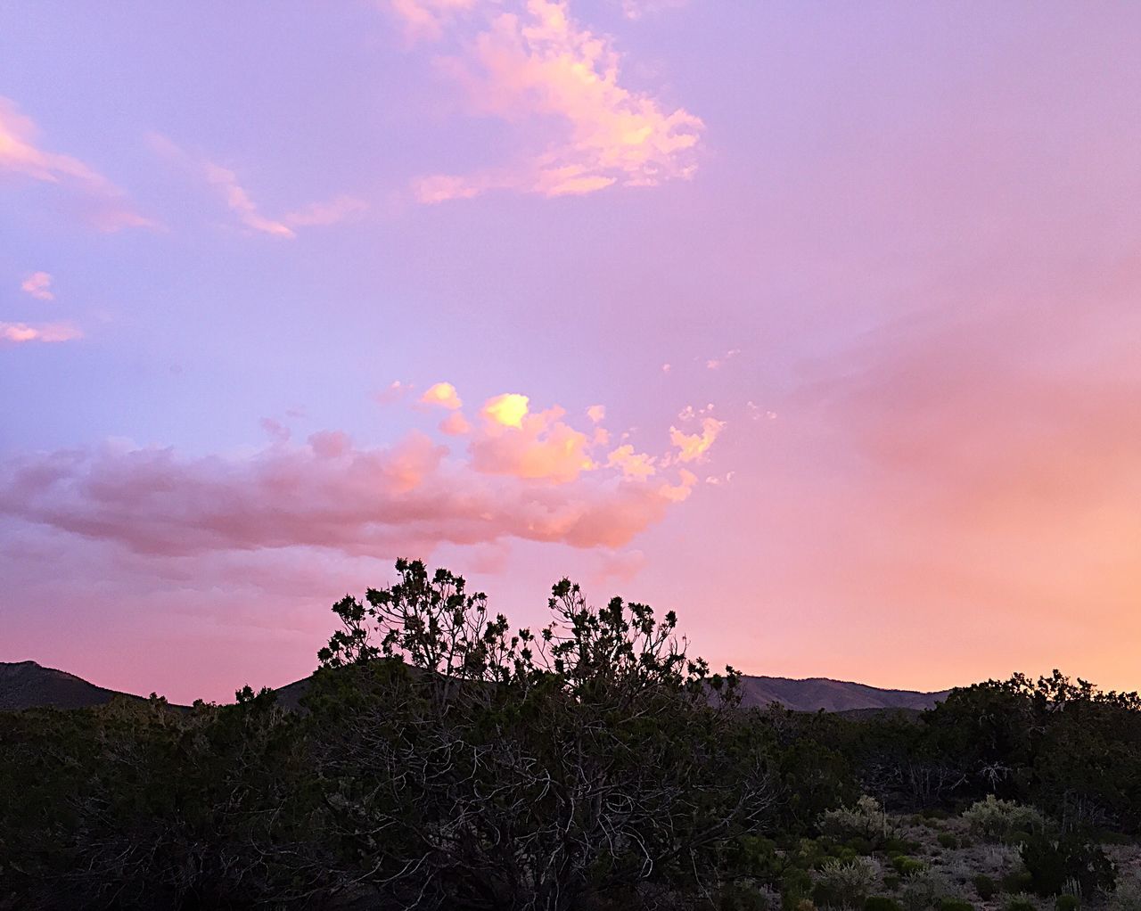 Torrance County, New Mexico, USA