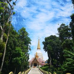 Low angle view of trees and building against sky