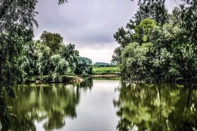 Reflection of trees in lake against sky