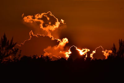 Silhouette trees against sky at sunset